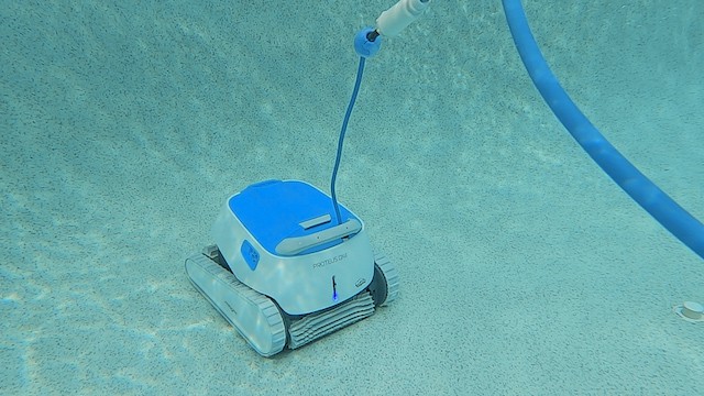 Dolphin Proteus DX4 In Action Dolphin Proteus DX4 in Action