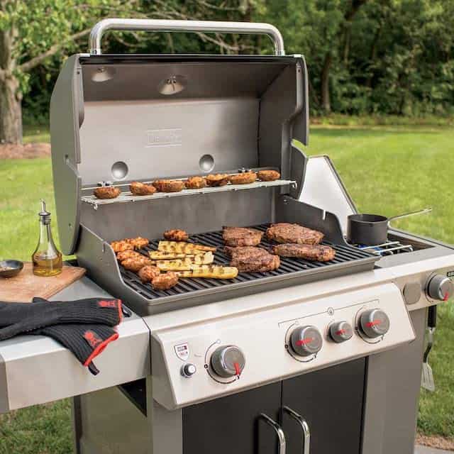 Weber Genesis II E-335 In Action Weber Genesis II E-335 In Action