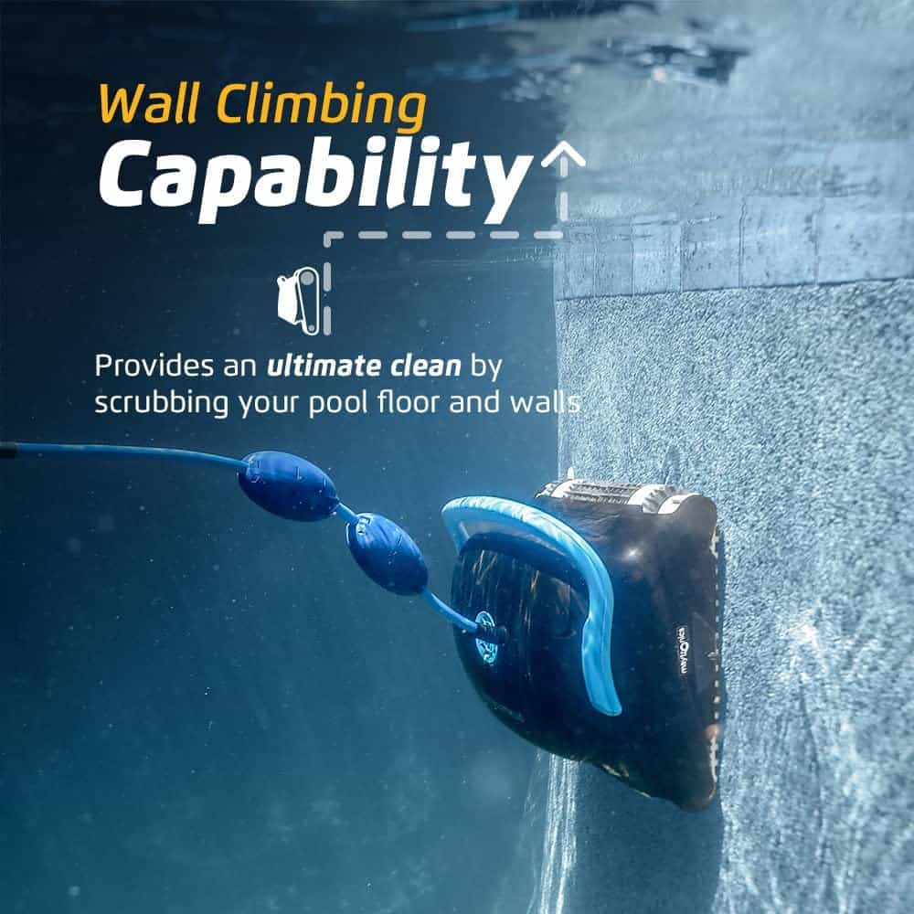 Dolphin Nautilus CC Plus Wall Climbing